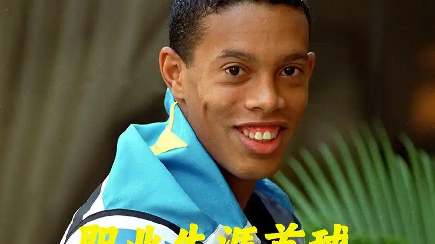 赢得了最高